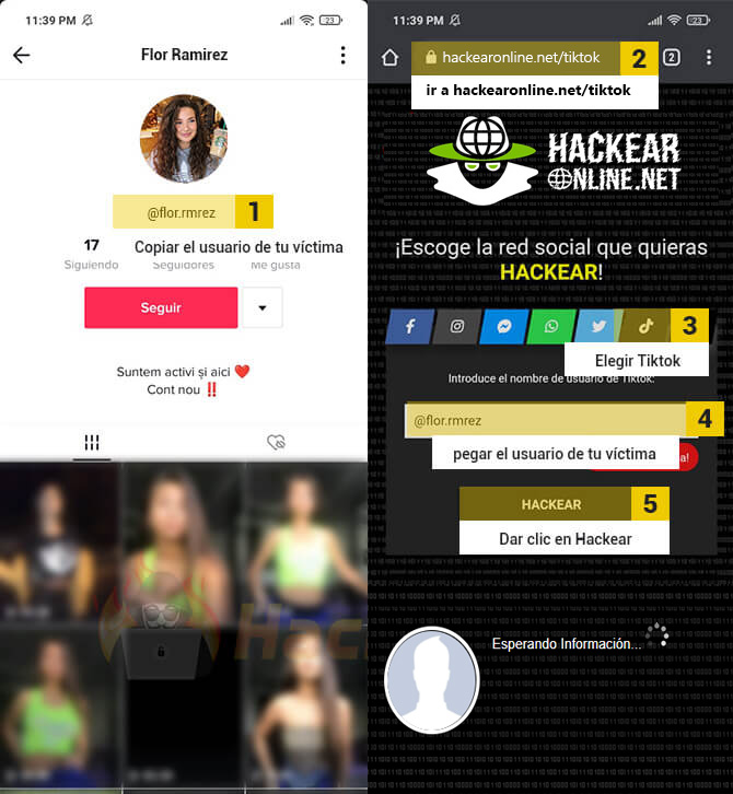 Hackear Tiktok Facil